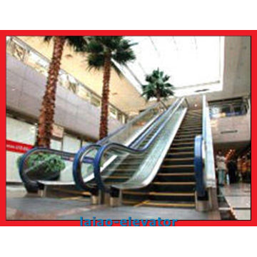 800mm 30degree Escalator Lift with up &Down Traveling